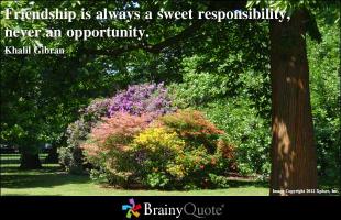 Big Responsibility quote #2