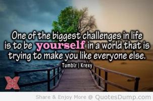 Biggest Challenges quote #2
