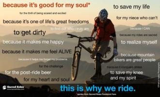 Biking quote #1