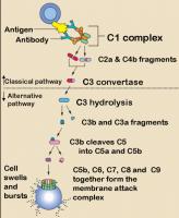 Biochemistry quote #2