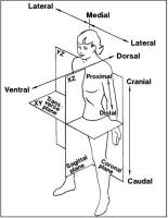 Biomechanics quote #1