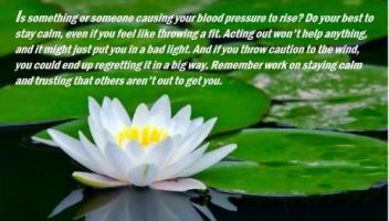 Blood Pressure quote #2