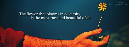 Blooming quote #2
