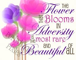 Blooms quote #1