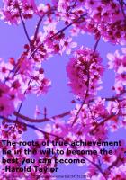 Blossoms quote #1