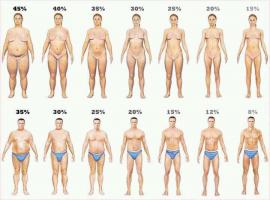 Body Fat quote #2