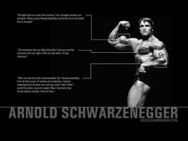 Bodybuilding quote #2