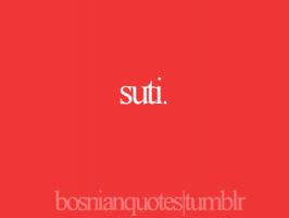 Bosnian quote #2