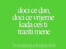 Bosnian quote #2