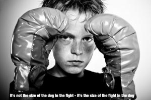 Boxers quote #1