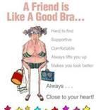 Bras quote #2