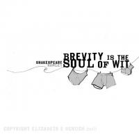 Brevity quote #1