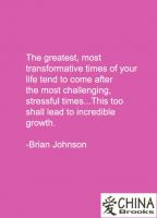 Brian Johnson's quote