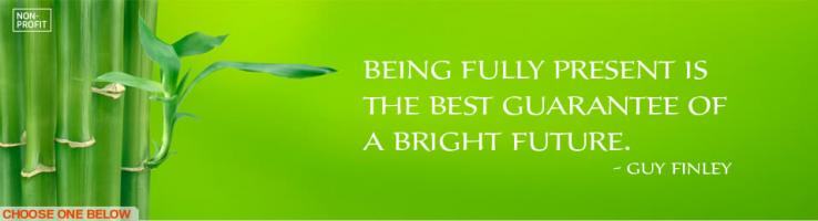 Brighter Future quote #2