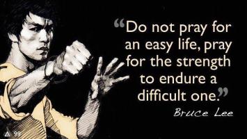 Bruce quote #4