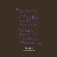 Buckets quote #2