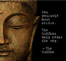 Buddhas quote #1