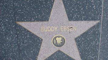 Buddy Ebsen's quote