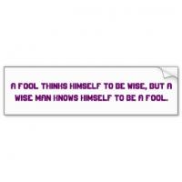 Bumper Sticker quote #2