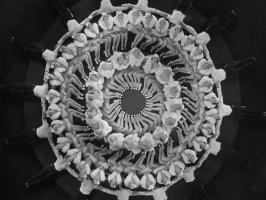 Busby Berkeley's quote #1