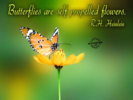 Butterflies quote #2