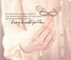 Butterflies quote #2