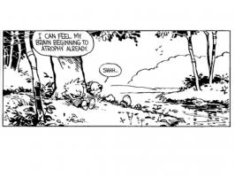 Calvin And Hobbes quote #2