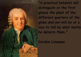 Carolus Linnaeus's quote #1