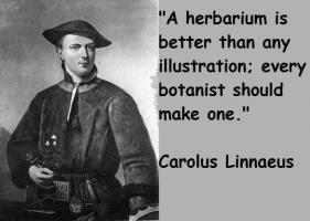 Carolus Linnaeus's quote #1