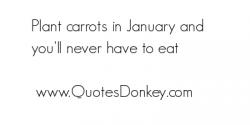 Carrot quote #1