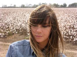 Cat Power profile photo