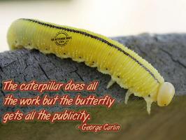 Caterpillar quote #2