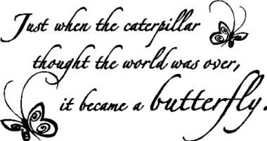 Caterpillar quote #2