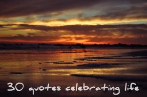 Celebrating quote #2