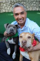 Cesar Millan profile photo