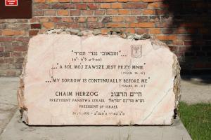 Chaim Herzog's quote #1