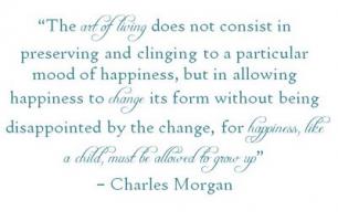 Charles Morgan's quote #3