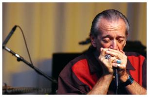 Charlie Musselwhite's quote #1