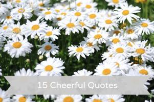 Cheerfully quote #1
