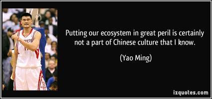 Chinese Culture quote #2