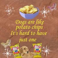 Chips quote #2
