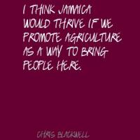 Chris Blackwell's quote #1
