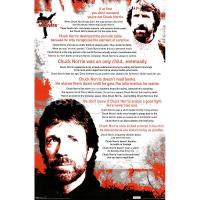 Chuck Norris's quote