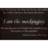 Civil Wars quote #2