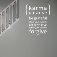 Cleanse quote #2
