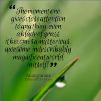 Close Attention quote #2