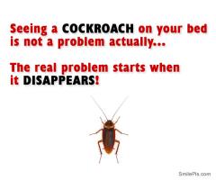 Cockroaches quote #2