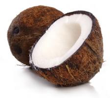 Coconut quote #1