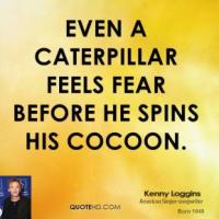 Cocoon quote #2