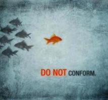 Conform quote #2